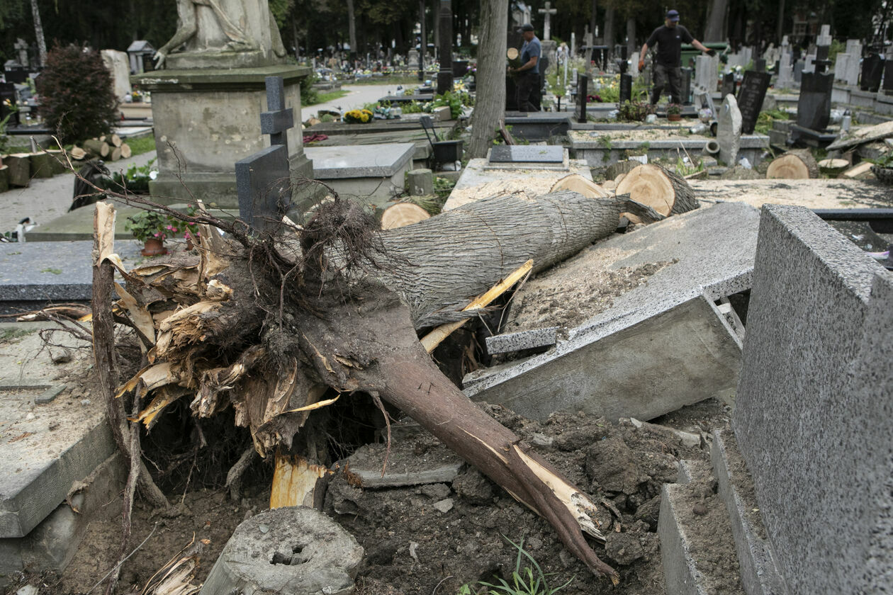  Zniszczenia na cmentarzu przu ul. Lipowej w Lublinie (zdjęcie 3) - Autor: Jacek Szydłowski