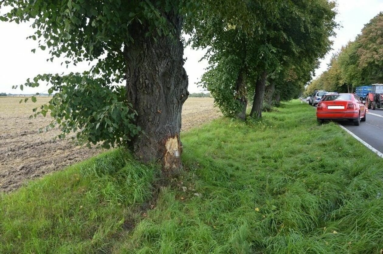  Cicibór Duży. Wypadek na drodze (zdjęcie 1) - Autor: Policja