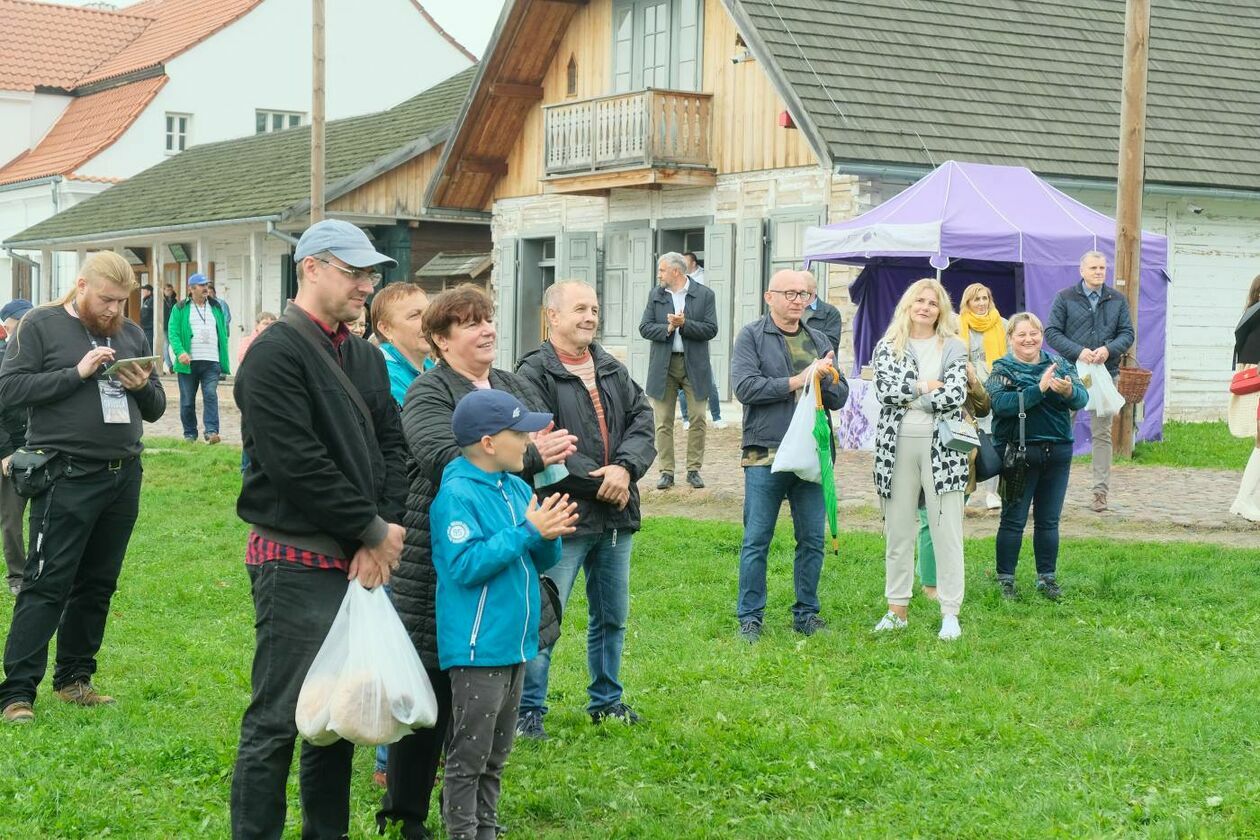  Święto Chleba w Muzeum Wsi Lubelskiej (zdjęcie 37) - Autor: Maciej Kaczanowski