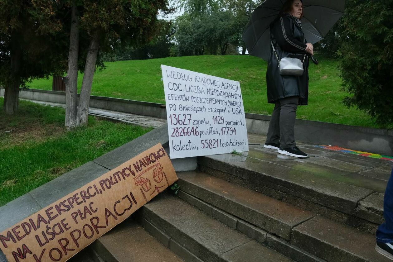  Protest antyszczepionkowców (zdjęcie 16) - Autor: Maciej Kaczanowski