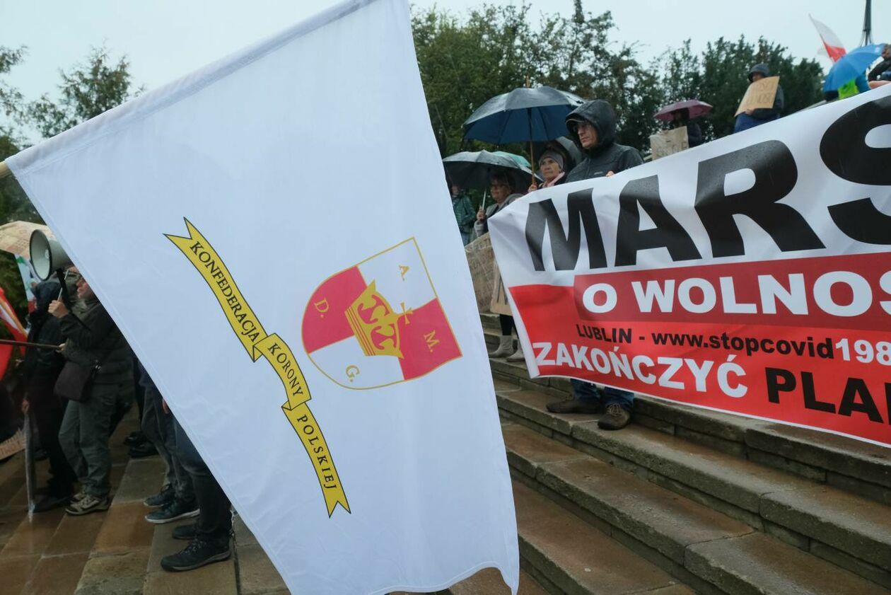  Protest antyszczepionkowców (zdjęcie 23) - Autor: Maciej Kaczanowski