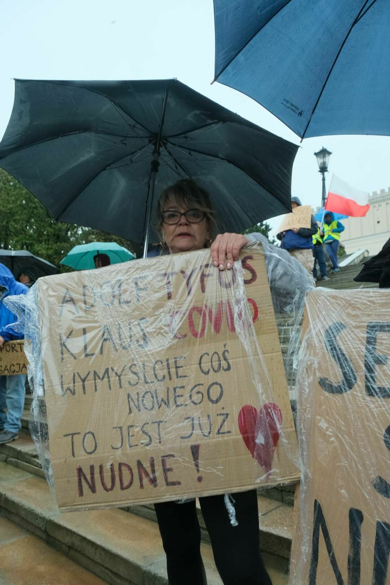  Protest antyszczepionkowców (zdjęcie 20) - Autor: Maciej Kaczanowski