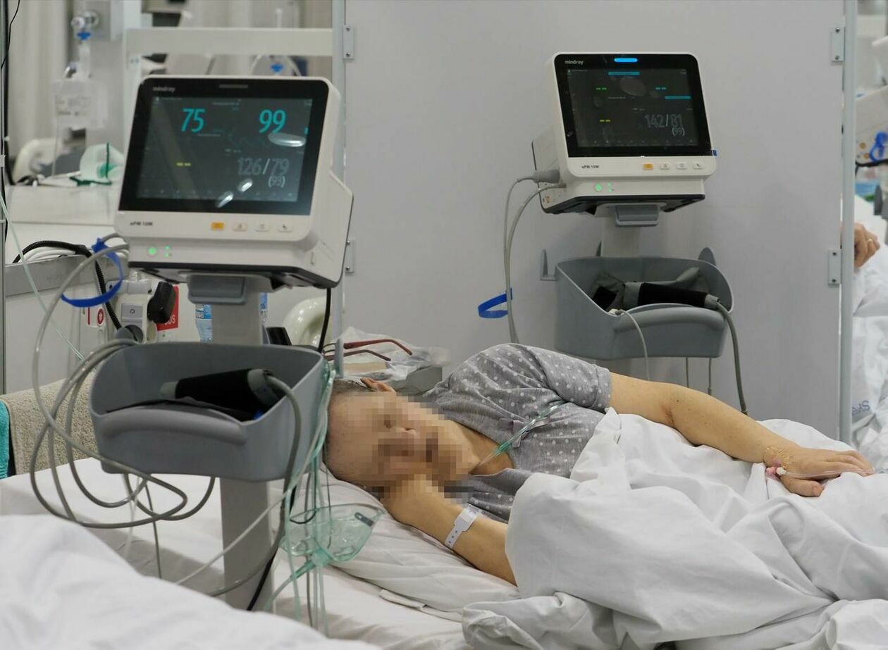  Szpital tymczasowy zorganizowanym w halach Targów Lublin dla chorych na Covid 19  - Autor: Maciej Kaczanowski