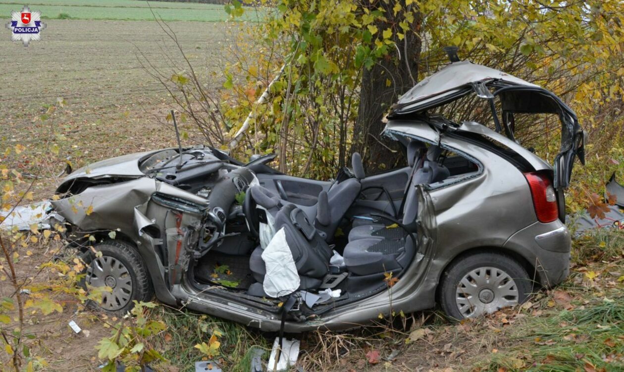 Wypadek na drodze między Przewłoką a Dębową Kłodą - Autor: Policja