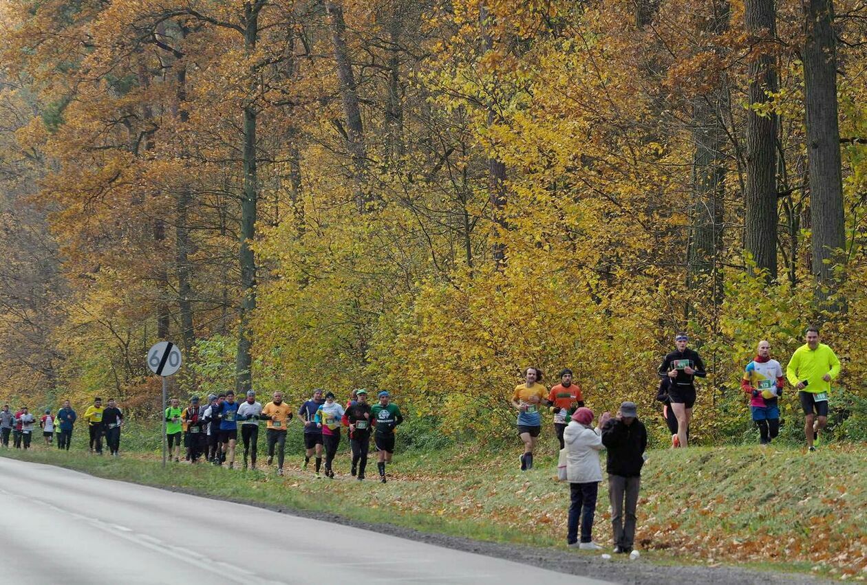  Półmaraton Lubelski -  500 biegaczy na dystansie 21,0975 km (zdjęcie 12) - Autor: Maciej Kaczanowski