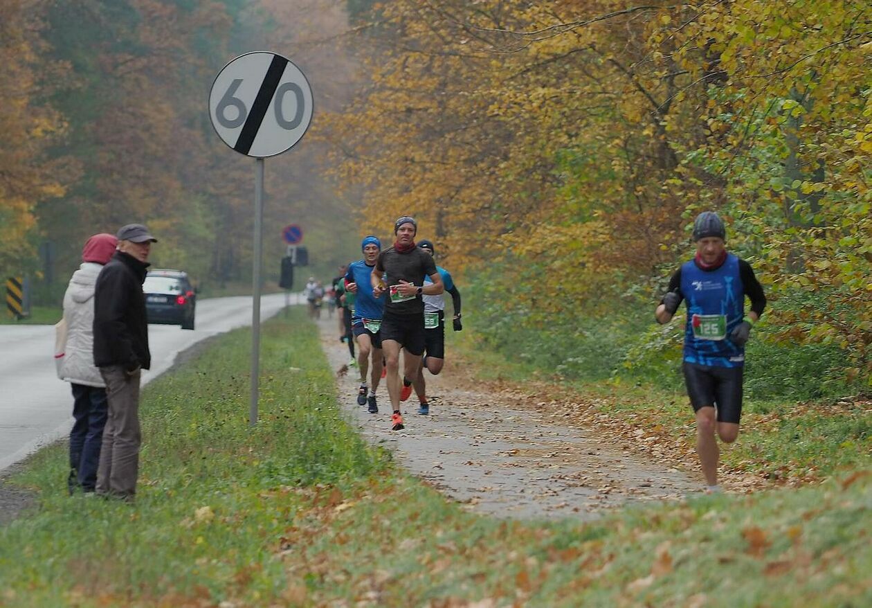 Półmaraton Lubelski -  500 biegaczy na dystansie 21,0975 km - Autor: Maciej Kaczanowski