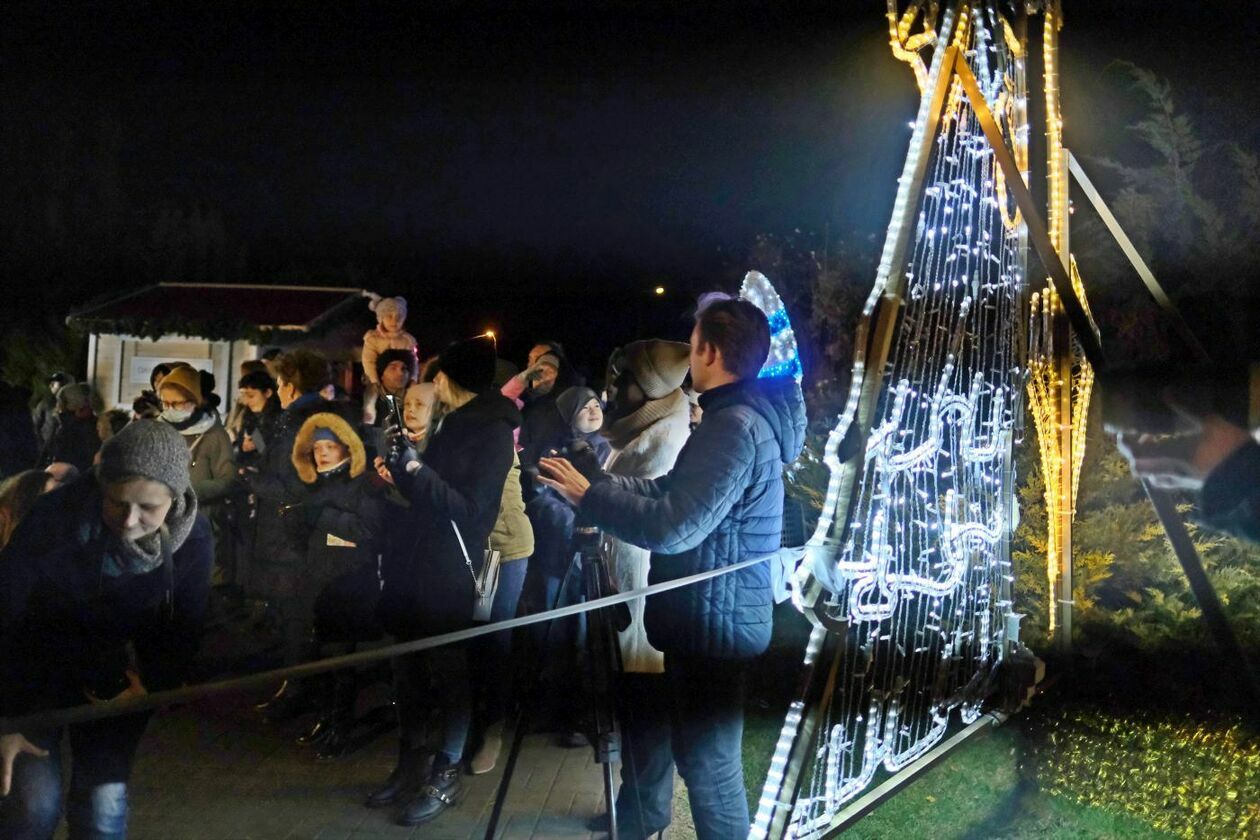  Park Iluminacji w Ogrodzie Botanicznym UMCS (zdjęcie 4) - Autor: Maciej Kaczanowski