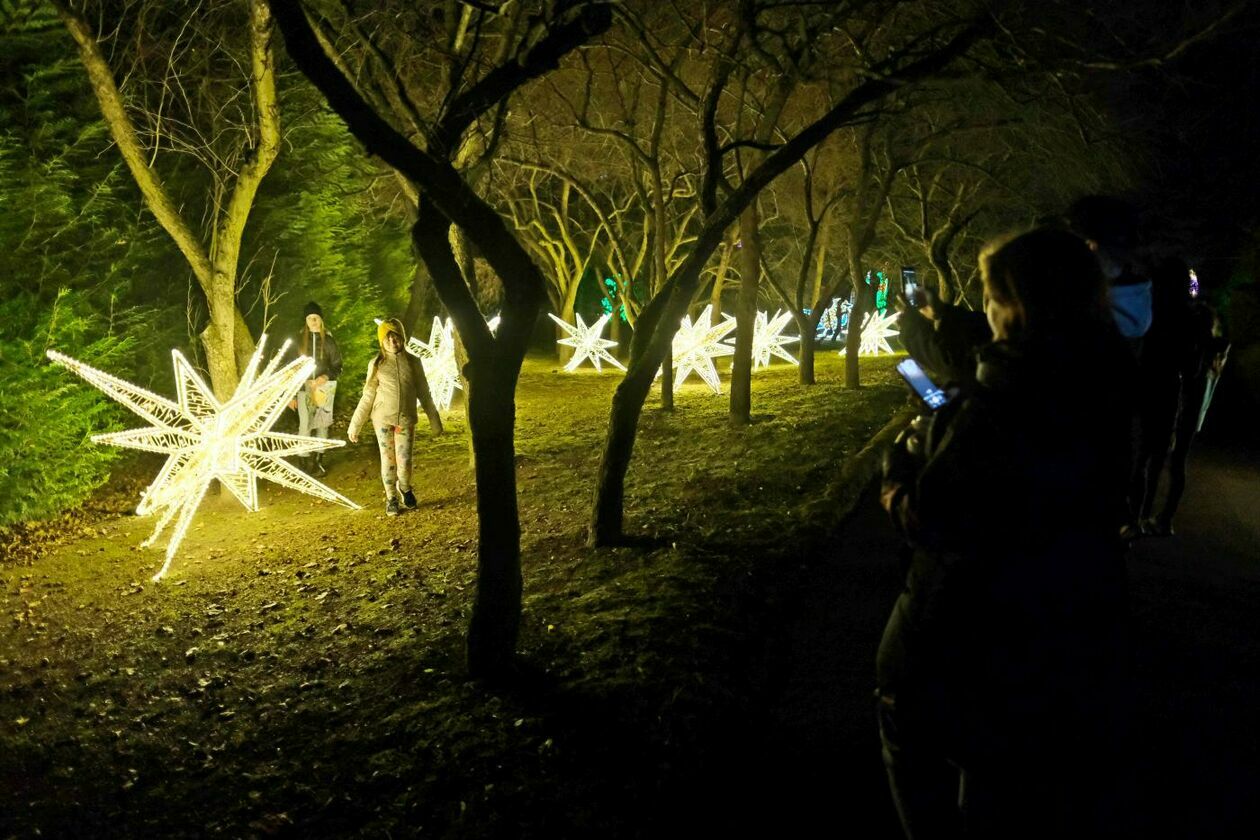  Park Iluminacji w Ogrodzie Botanicznym UMCS (zdjęcie 30) - Autor: Maciej Kaczanowski