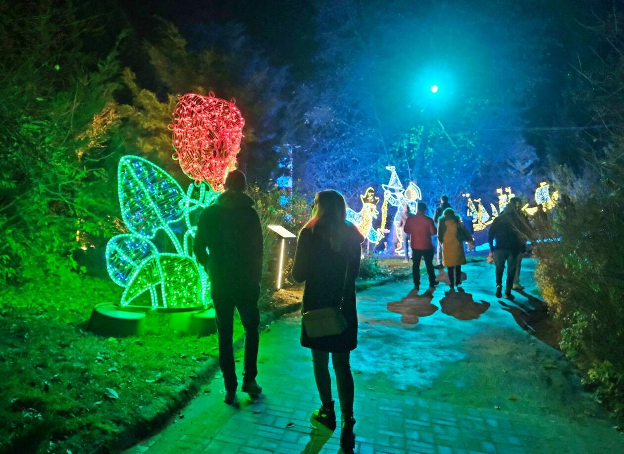  Park Iluminacji w Ogrodzie Botanicznym UMCS (zdjęcie 33) - Autor: Maciej Kaczanowski