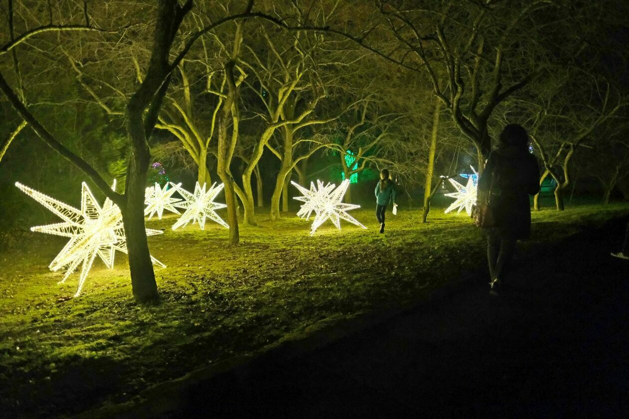 Park Iluminacji w Ogrodzie Botanicznym UMCS (zdjęcie 32) - Autor: Maciej Kaczanowski
