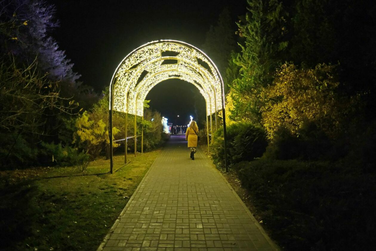  Park Iluminacji w Ogrodzie Botanicznym UMCS (zdjęcie 53) - Autor: Maciej Kaczanowski
