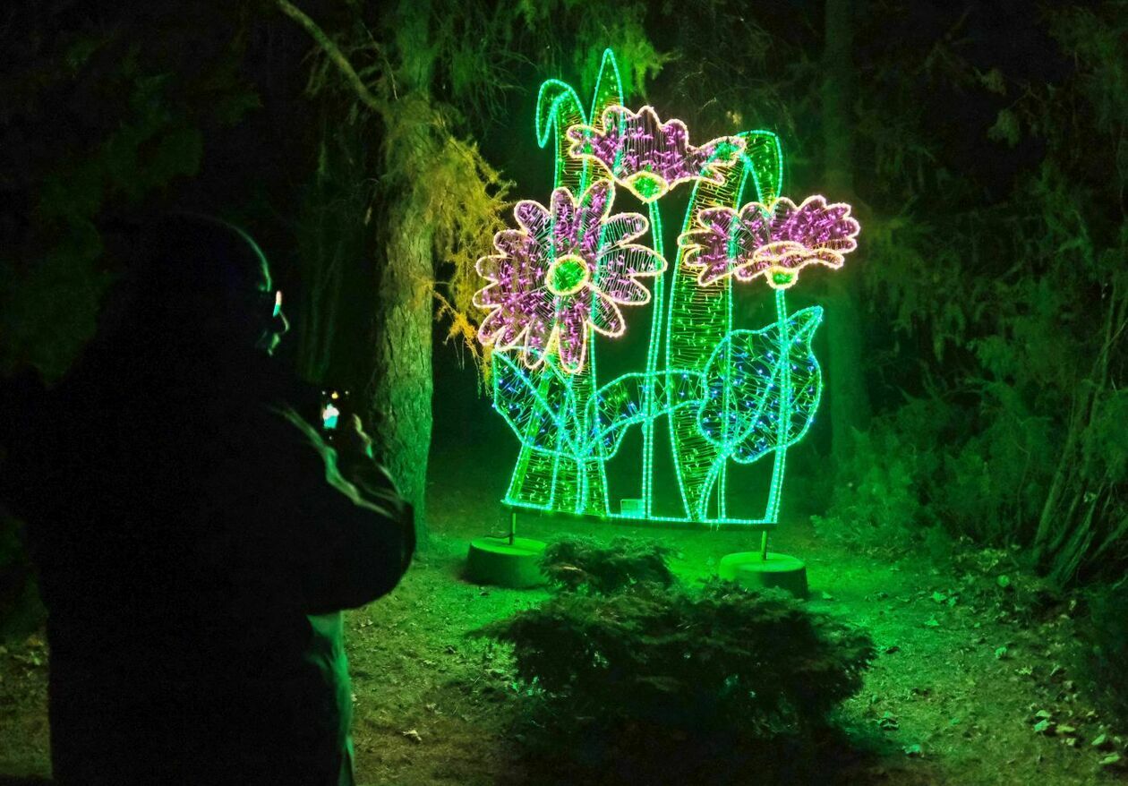  Park Iluminacji w Ogrodzie Botanicznym UMCS (zdjęcie 27) - Autor: Maciej Kaczanowski
