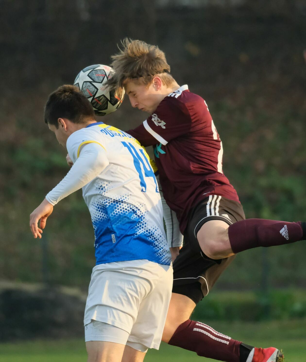  Sygnał Lublin vs Polesie Kock (zdjęcie 18) - Autor: Maciej Kaczanowski