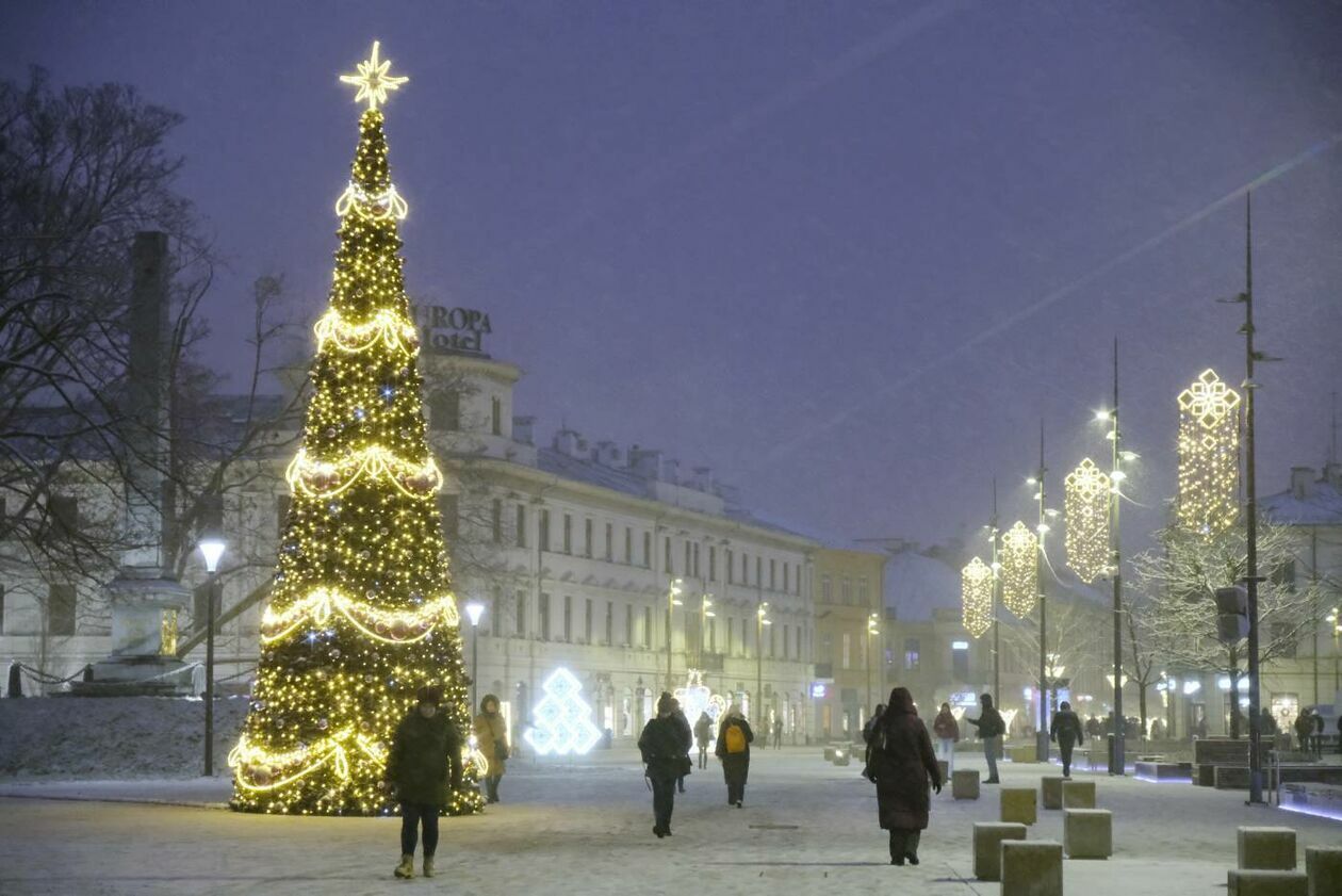  Świąteczna iluminacja Lublina już zdobi deptak i Stare Miasto (zdjęcie 31) - Autor: Maciej Kaczanowski