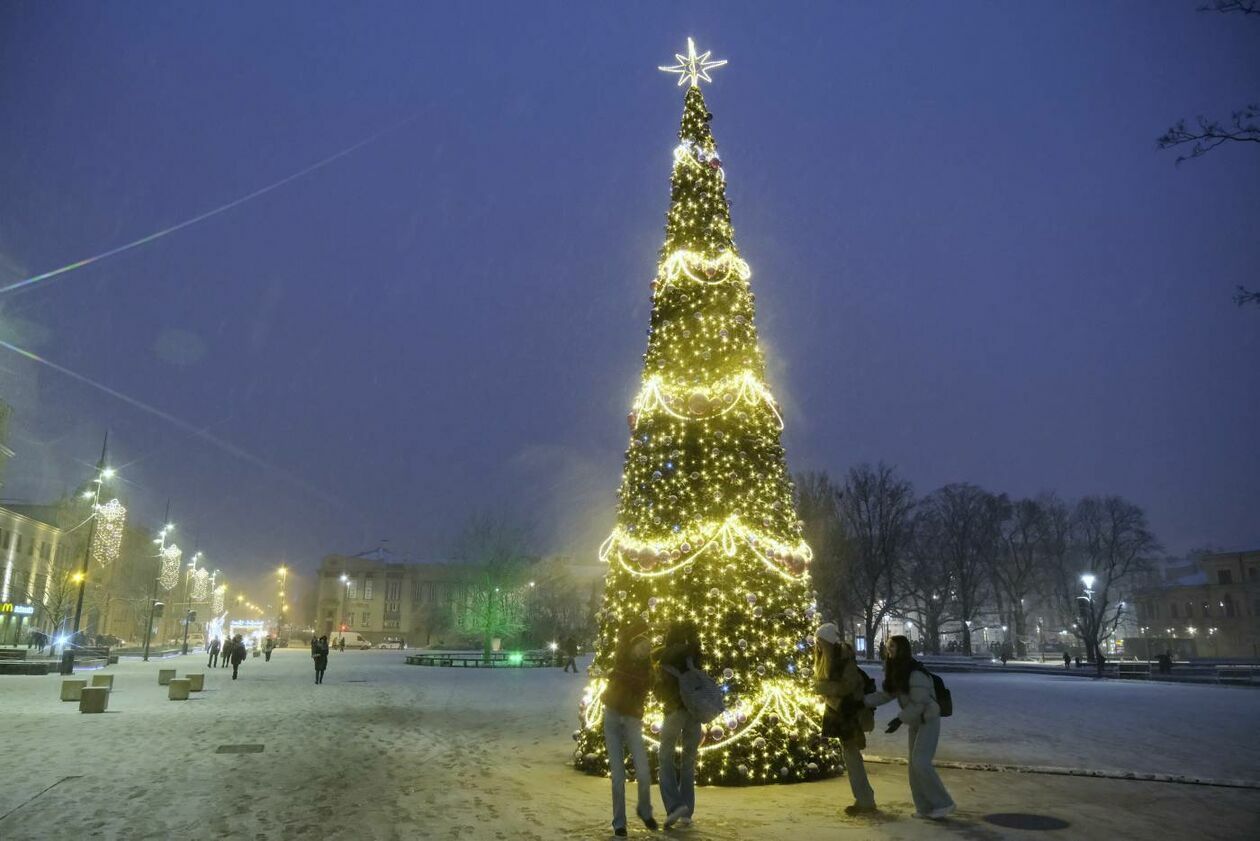  Świąteczna iluminacja Lublina już zdobi deptak i Stare Miasto (zdjęcie 29) - Autor: Maciej Kaczanowski