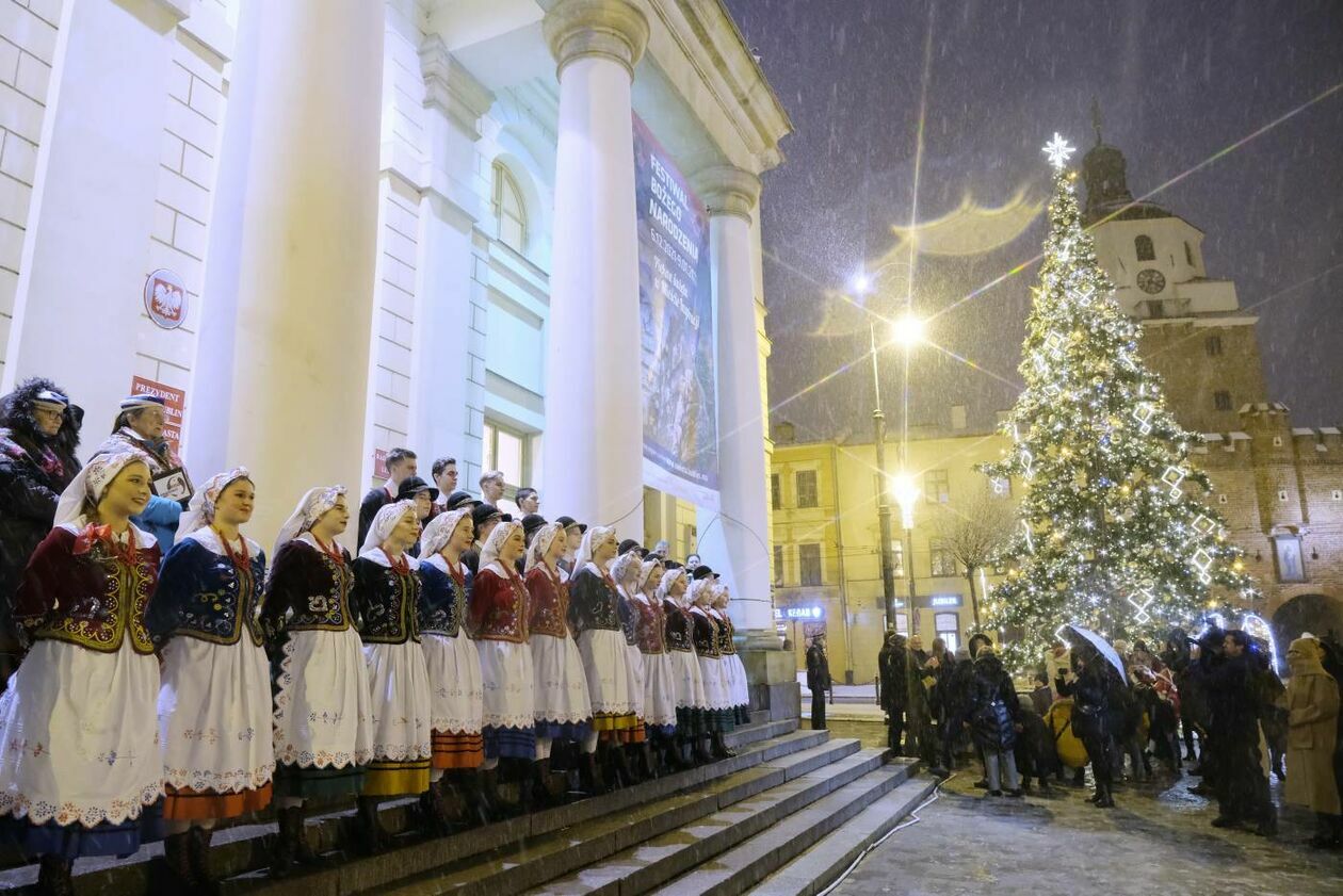  Świąteczna iluminacja Lublina już zdobi deptak i Stare Miasto (zdjęcie 11) - Autor: Maciej Kaczanowski