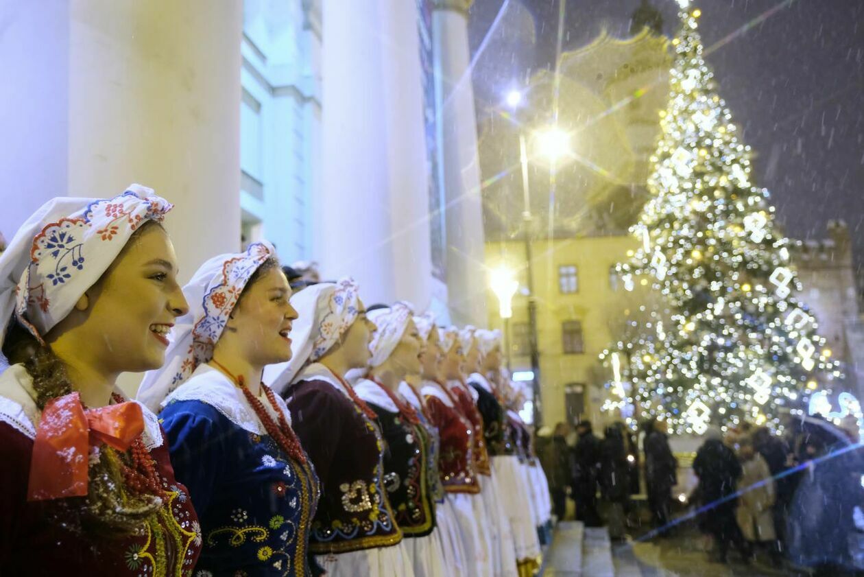  Świąteczna iluminacja Lublina już zdobi deptak i Stare Miasto (zdjęcie 9) - Autor: Maciej Kaczanowski