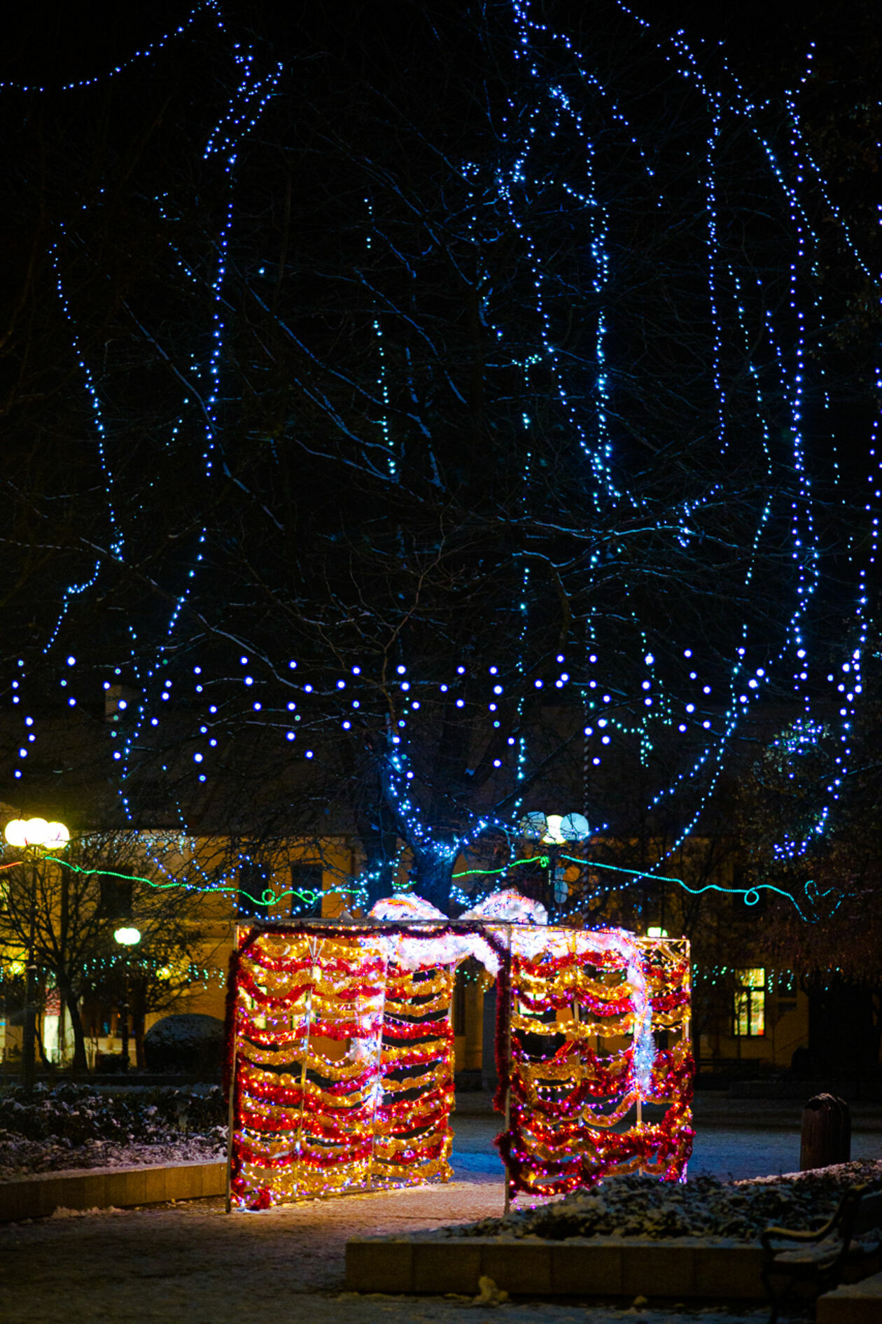  Świąteczna iluminacja w Białej Podlaskiej (zdjęcie 10) - Autor: Bartosz Wołoszko