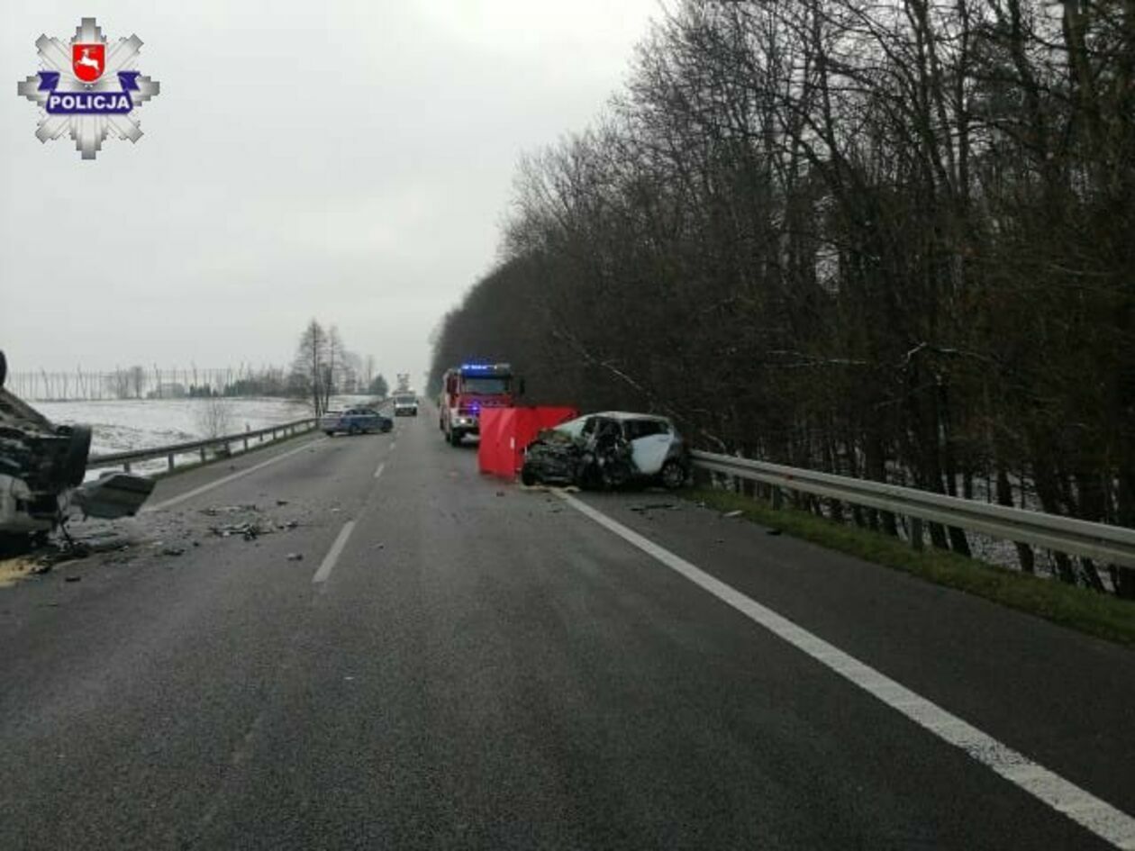  Śmiertelny wypadek w miejscowości Krasne na drodze nr 17  - Autor: Policja