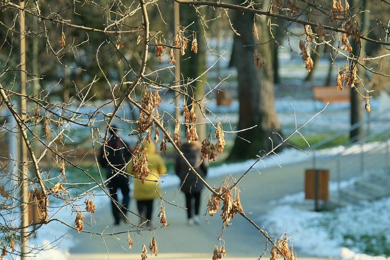  Świąteczny spacer w parku Ludowym w Lublinie (zdjęcie 22) - Autor: Maciej Kaczanowski