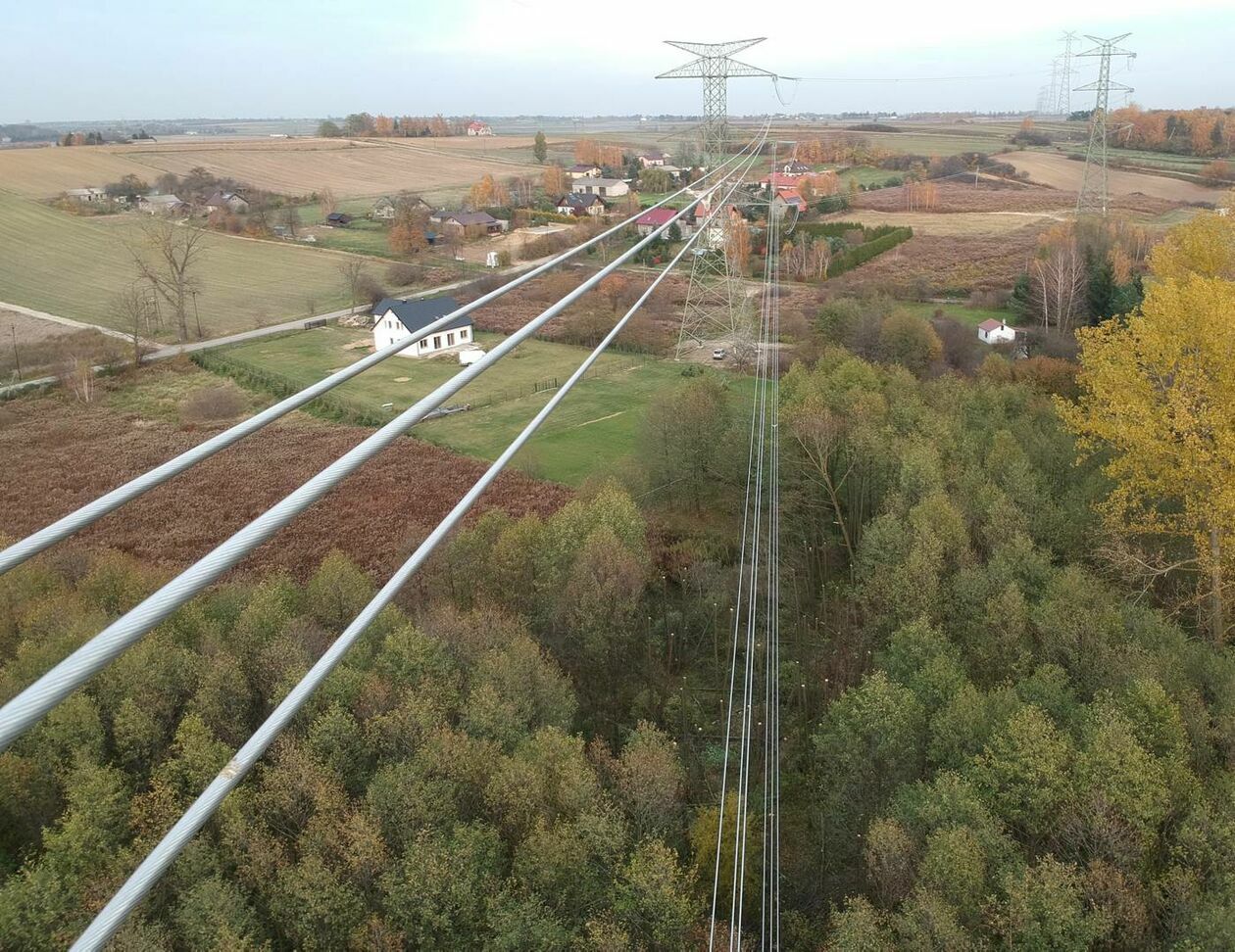  <p>PAŹDZIERNIK. PRAWIEDNIKI TRAKCJA WYSOKIEGO NAPIĘCIA ZAWIESZONA ZBYT NISKO NAD LASEM.</p>