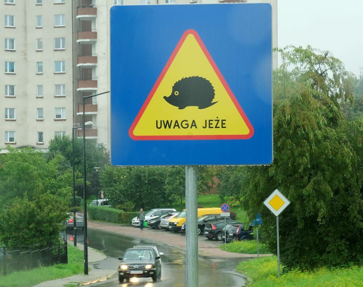  <p>SIERPIEŃ. ULICA WYŻYNNA NOWY ZNAK DROGOWY "UWAGA JEŻE".</p>