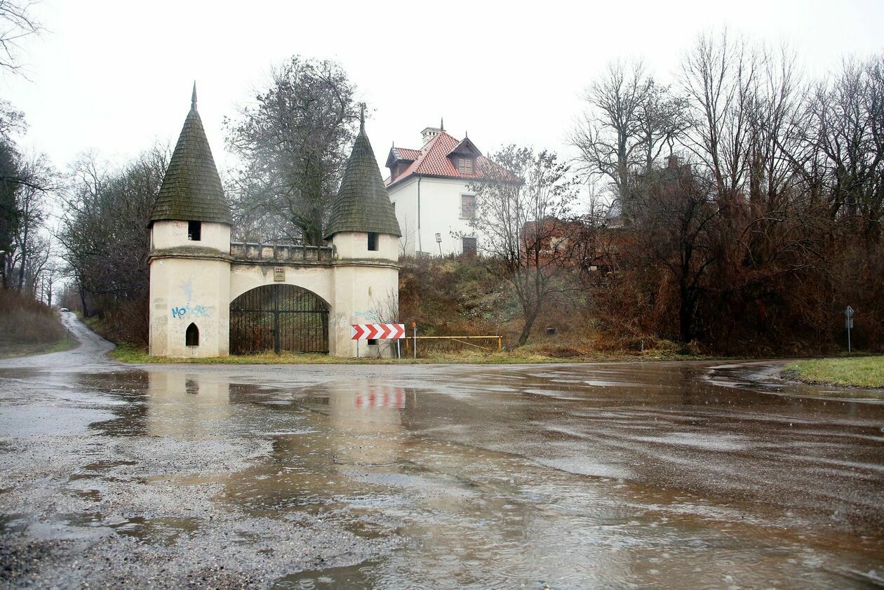  Pałac w Jakubowicach Murowanych (zdjęcie 39) - Autor: Piotr Michalski