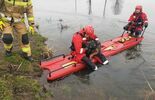 Strażacy uratowali psa na zamarzniętej rzece (zdjęcie 2)