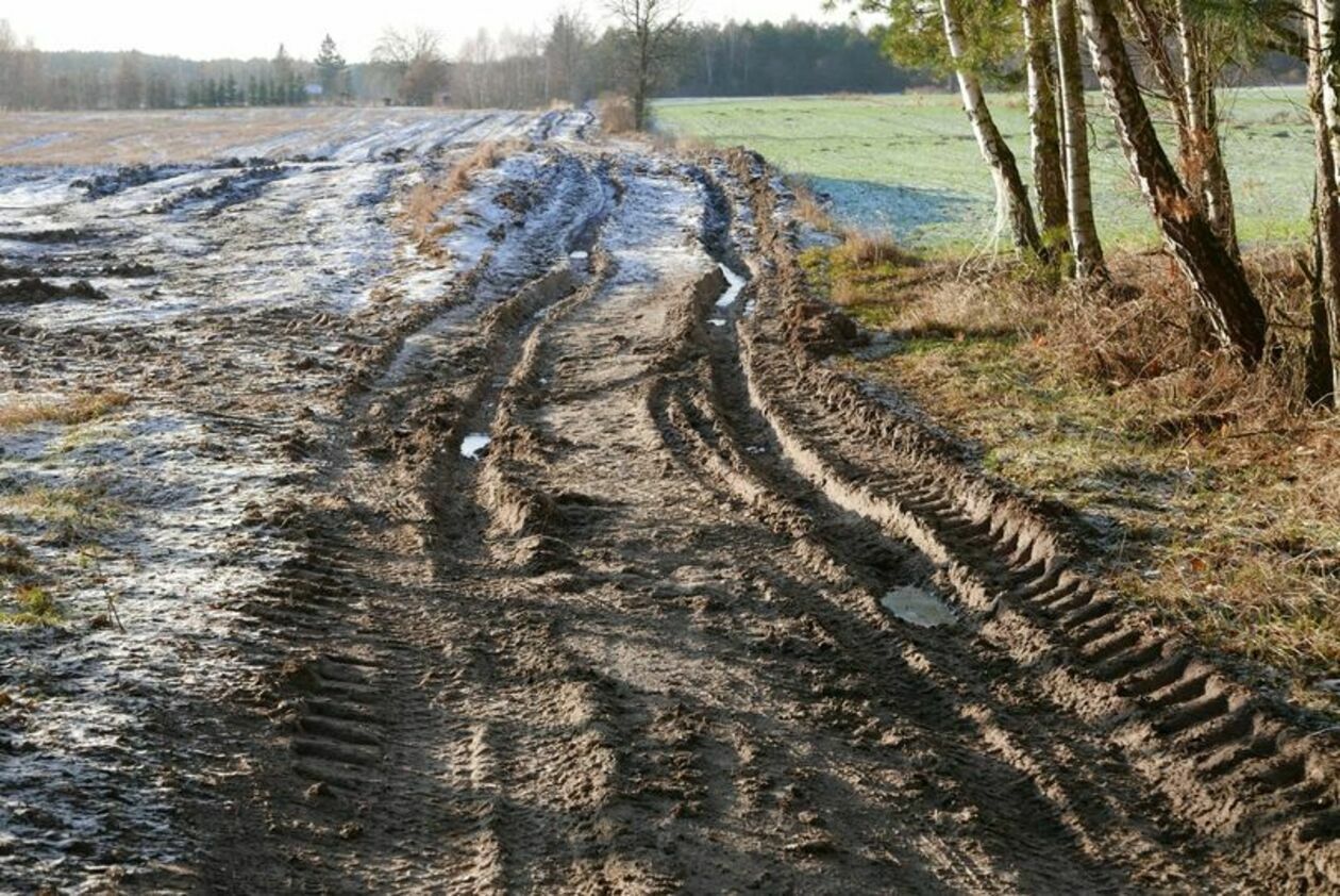  Zniszczone drogi nad Bugiem  (zdjęcie 2) - Autor: czytelnicy