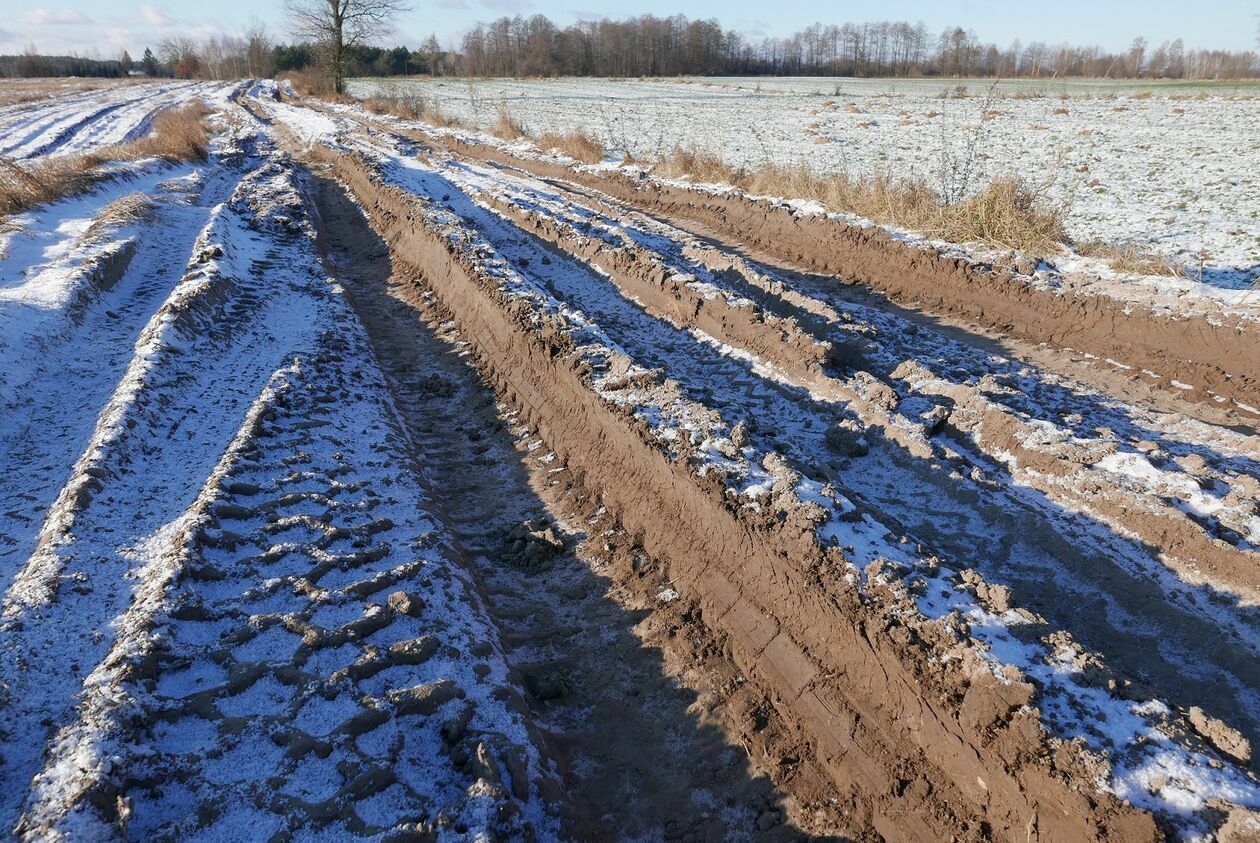  Zniszczone drogi nad Bugiem  (zdjęcie 8) - Autor: czytelnicy