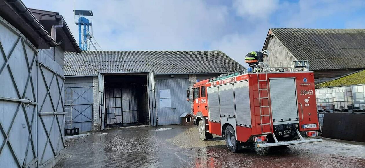 Silny wiatr. Interwencje straży pożarnej w województwie lubelskim - Autor: OSP KSRG ŻABIA WOLA