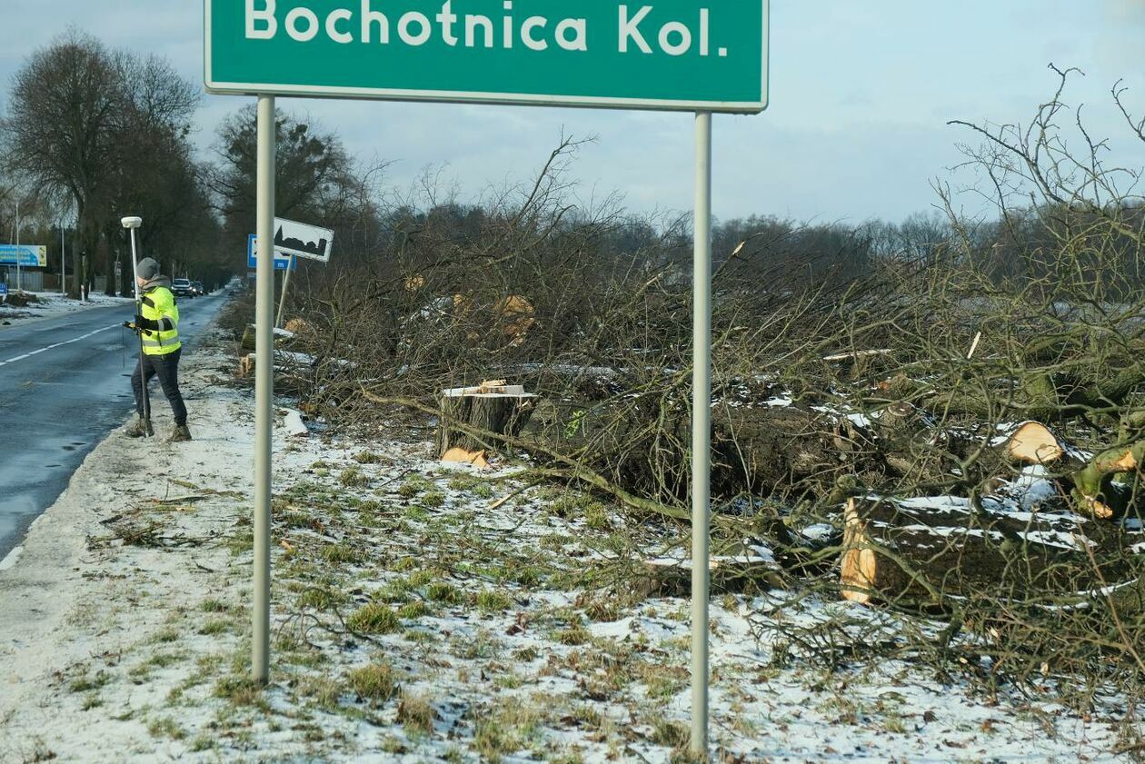  Wycinka drzew na drodze wojewódzkiej nr 830 między Sadurkami a Nałęczowem (zdjęcie 14) - Autor: Maciej Kaczanowski