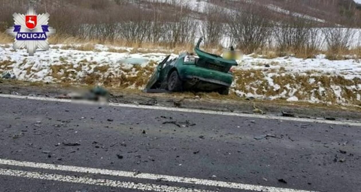  Zagrody. Tragiczny wypadek na drodze Lublin - Biłgoraj  - Autor: Policja