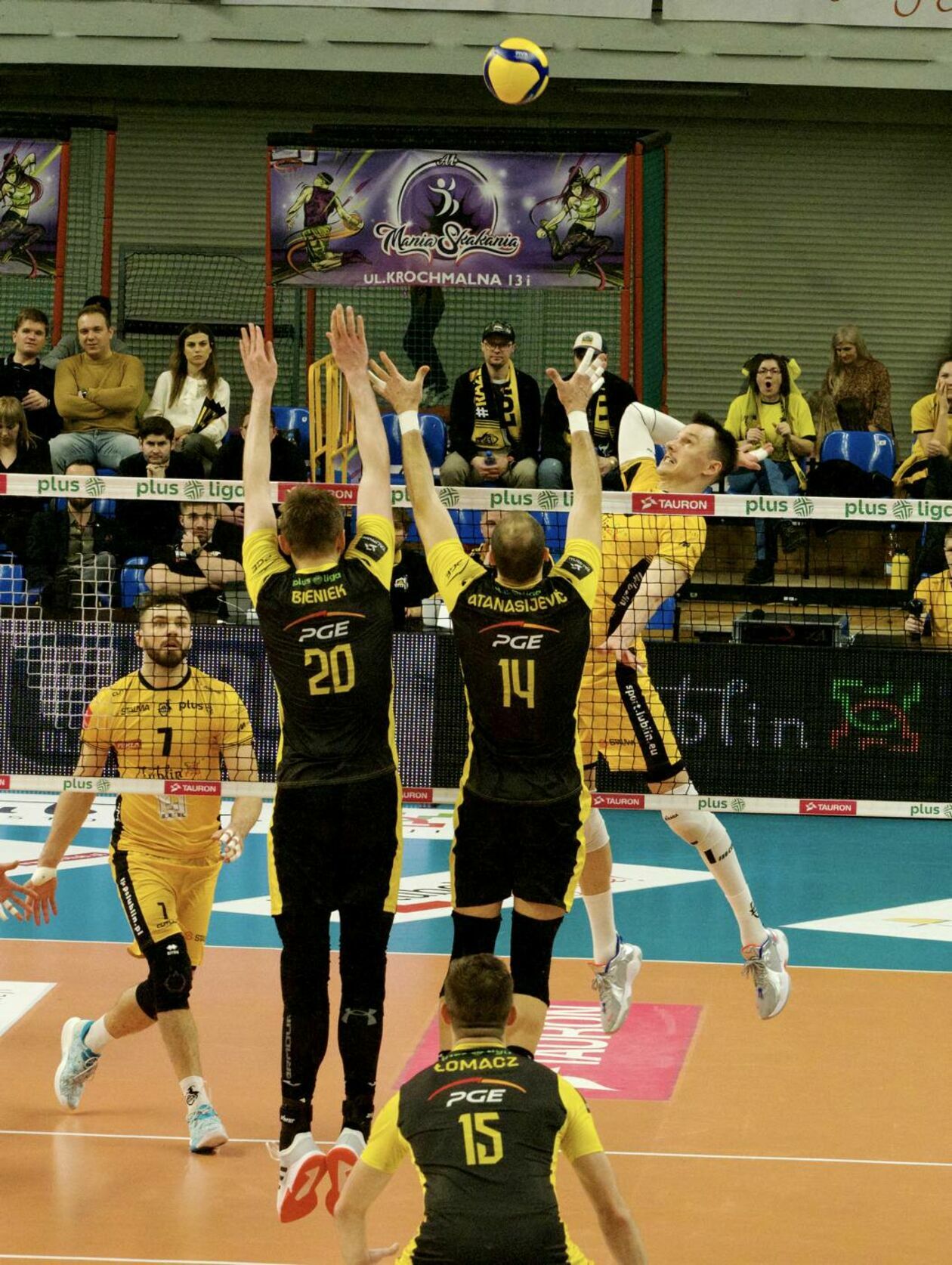  LUK Lublin – PGE Skra Bełchatów 0:3 (zdjęcie 34) - Autor: Maciej Kaczanowski