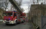 Strażacy usuwają skutki wichury – Lublin i powiat lubelski (zdjęcie 2)