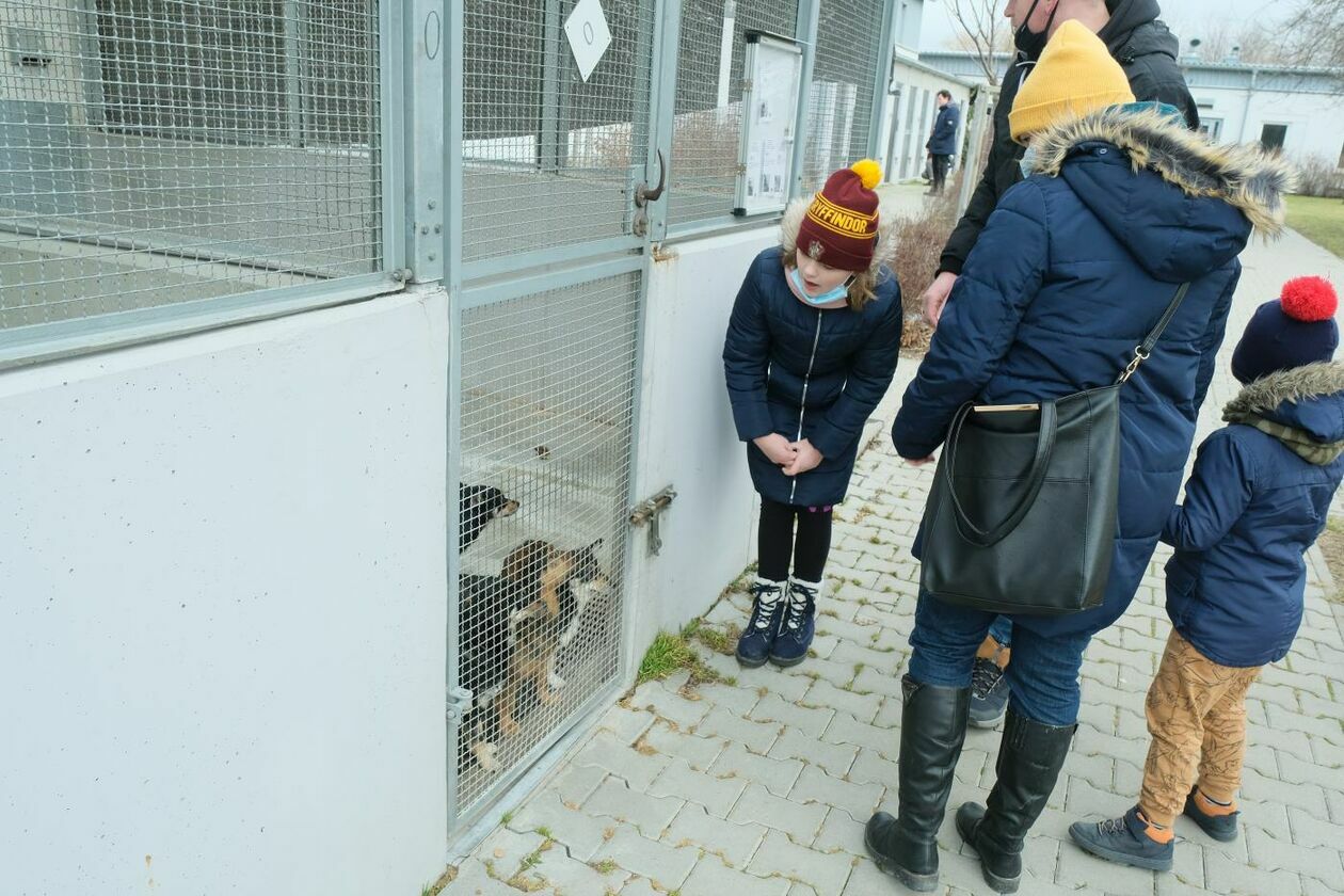  Dzień otwarty w lubelskim schronisku dla zwierząt (zdjęcie 1) - Autor: Maciej Kaczanowski