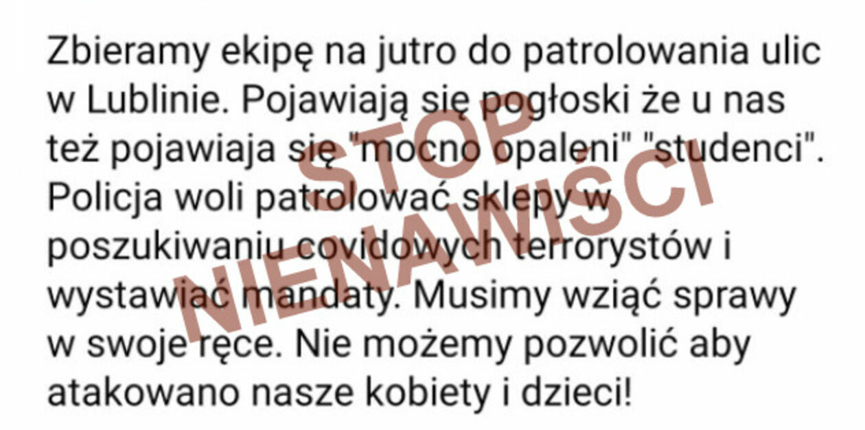  Zatrzymania za mowę nienawiści (zdjęcie 3) - Autor: Policja