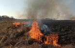 Pożar suchych traw w miejscowości Dębczyna (zdjęcie 2)