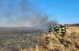 Pożar suchych traw w miejscowości Dębczyna (zdjęcie 5)