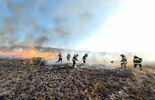 Pożar suchych traw w miejscowości Dębczyna (zdjęcie 4)