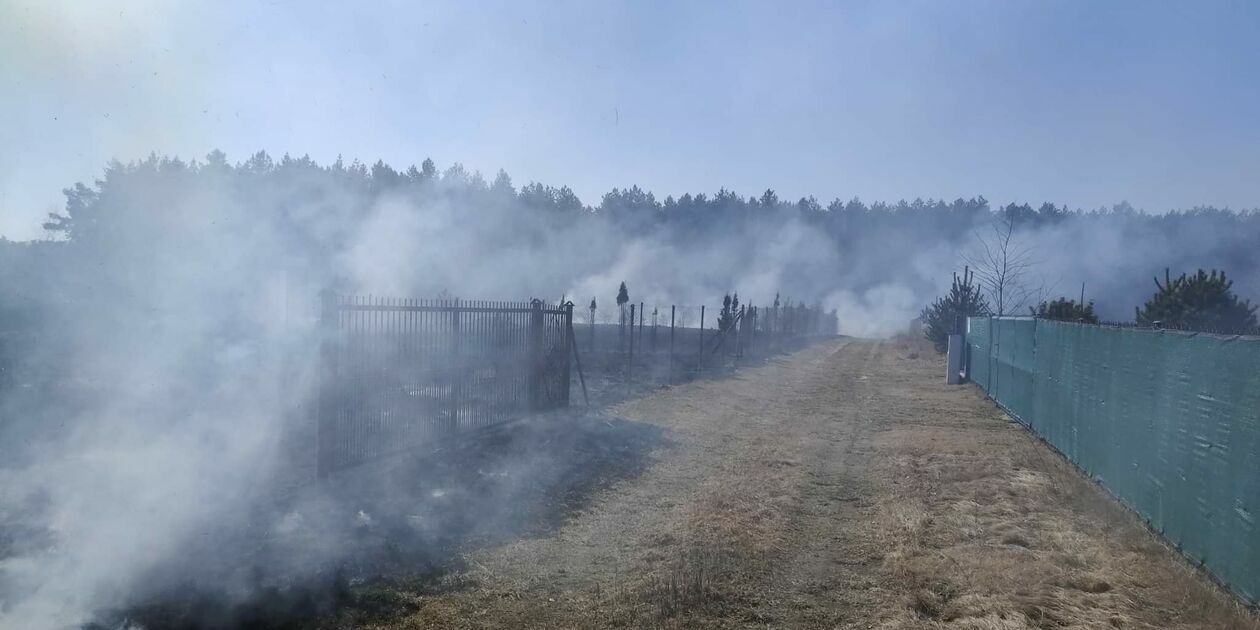  Pożar traw w pobliżu jeziora Piaseczno (zdjęcie 6) - Autor: Czytelnik