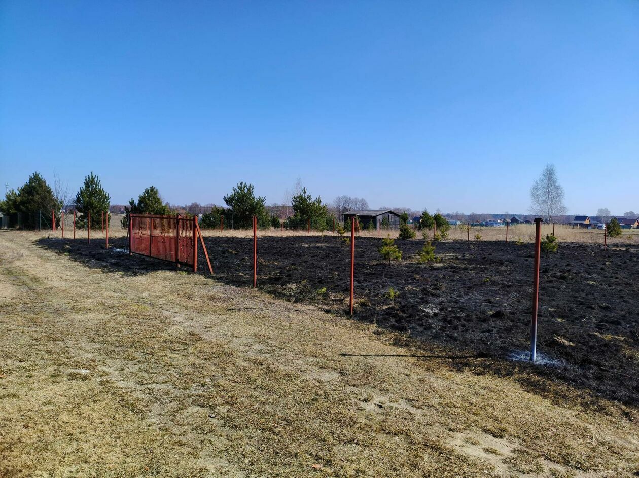  Pożar traw w pobliżu jeziora Piaseczno (zdjęcie 3) - Autor: Czytelnik