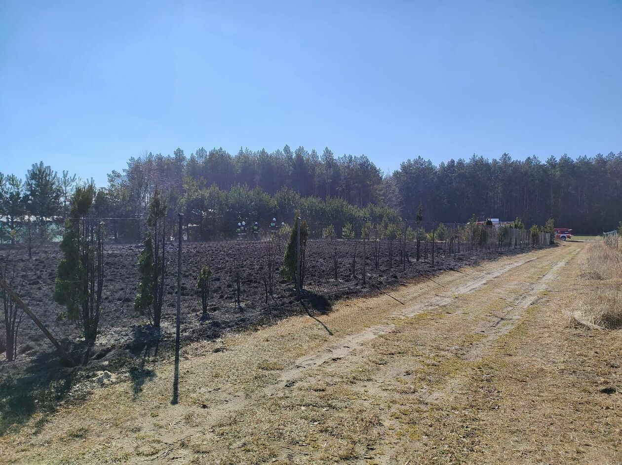 Pożar traw w pobliżu jeziora Piaseczno