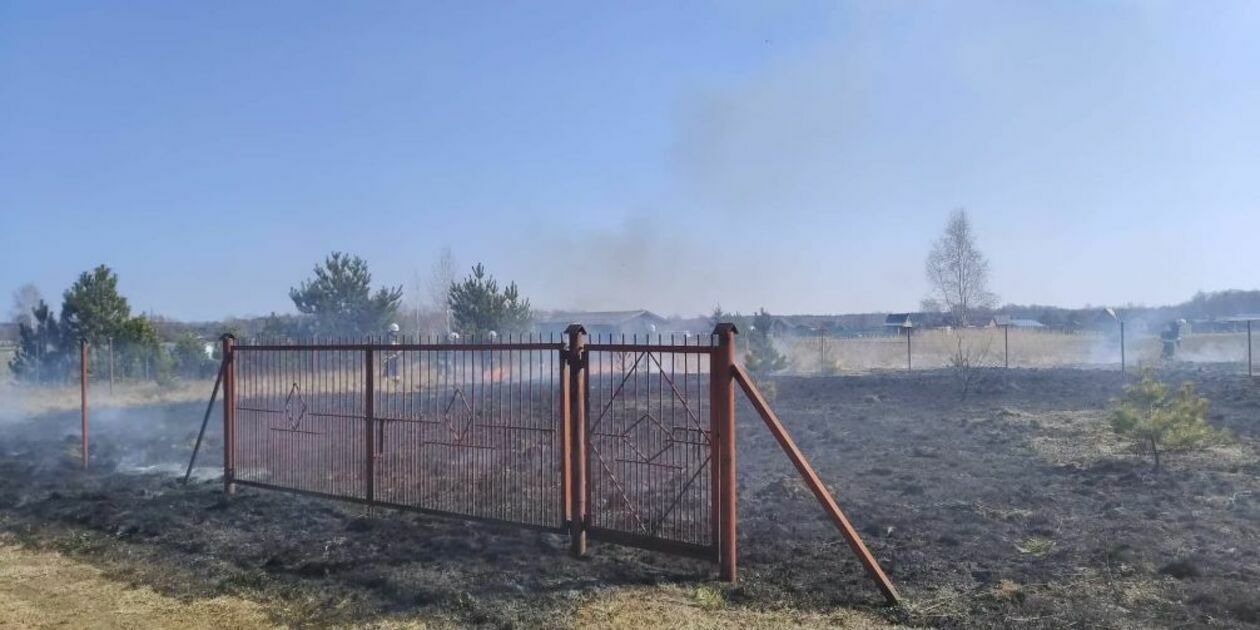  Pożar traw w pobliżu jeziora Piaseczno (zdjęcie 5) - Autor: Czytelnik