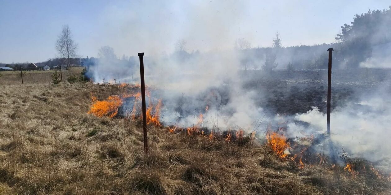  Pożar traw w pobliżu jeziora Piaseczno  - Autor: Czytelnik