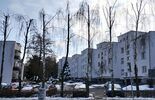 Okaleczone drzewa przy ul. Herbowej (zdjęcie 5)