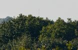 Dalekie obserwacje z Lubelszczyzny (zdjęcie 4)
