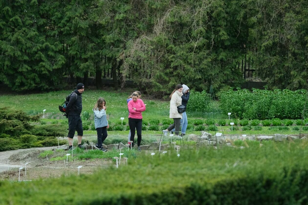  Ogród Botaniczny UMCS już otwarty dla zwiedzających (zdjęcie 41) - Autor: Maciej Kaczanowski