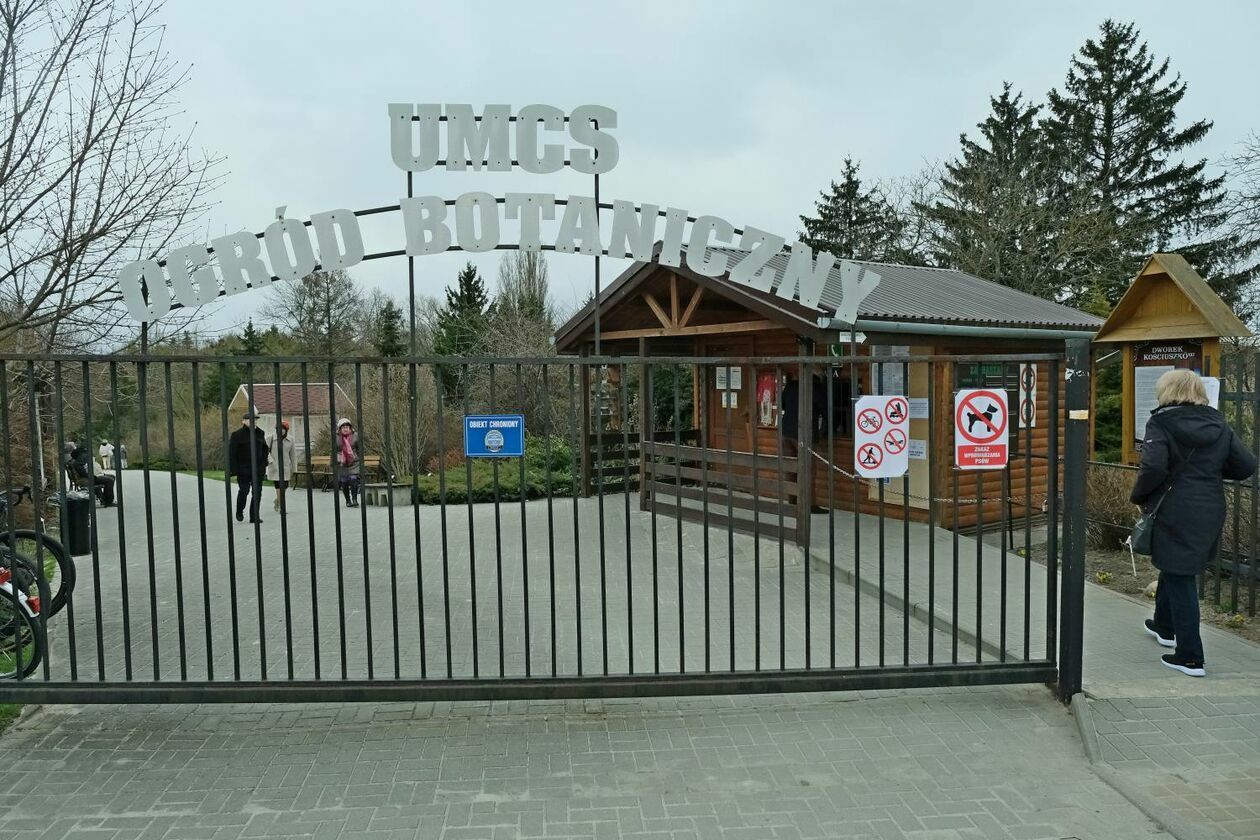Ogród Botaniczny UMCS już otwarty dla zwiedzających - Autor: Maciej Kaczanowski
