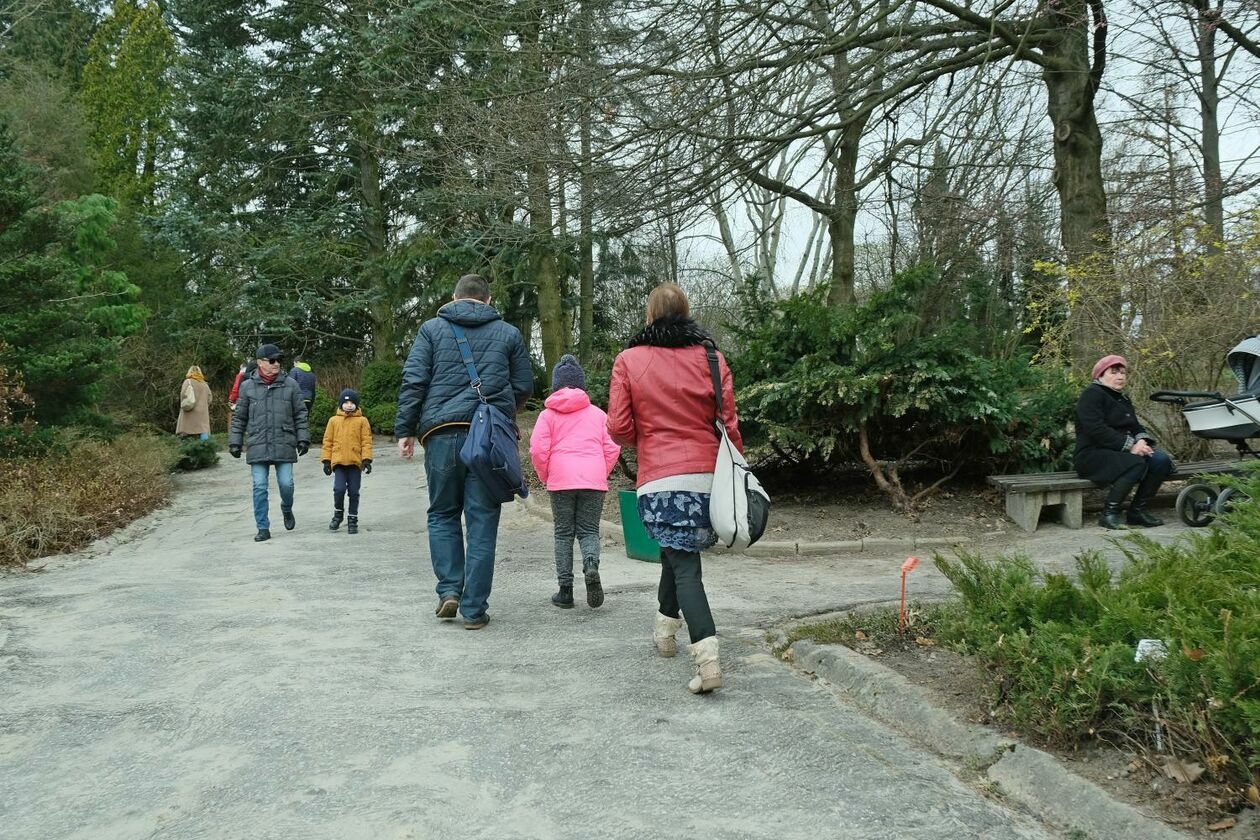 Ogród Botaniczny UMCS już otwarty dla zwiedzających